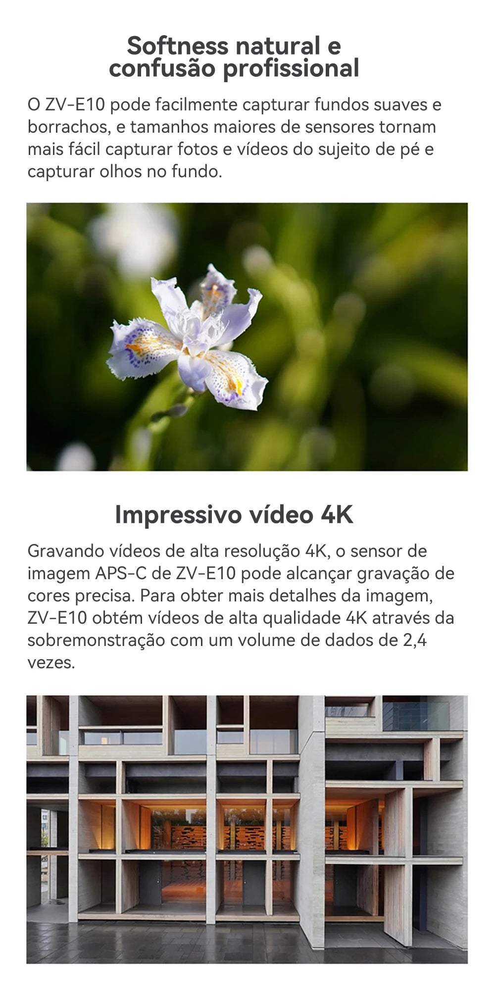 SONY Alpha ZV-E10 ZVE10 APS-C E-Mount Vlog Câmera Mirrorless Digital Com Lente 16-50mm Câmera Compacta 4K Fotografia Profissional